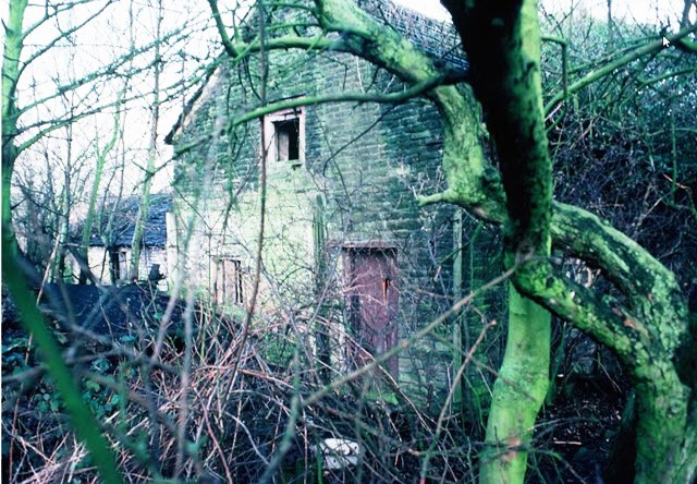 Hall Lane Cottages, W of Birch Tree Farm